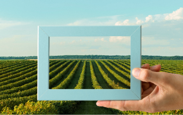 Sürdürülebilir Tarımın Öncüsü: GGB Holding’in Yenilikçi Yaklaşımı